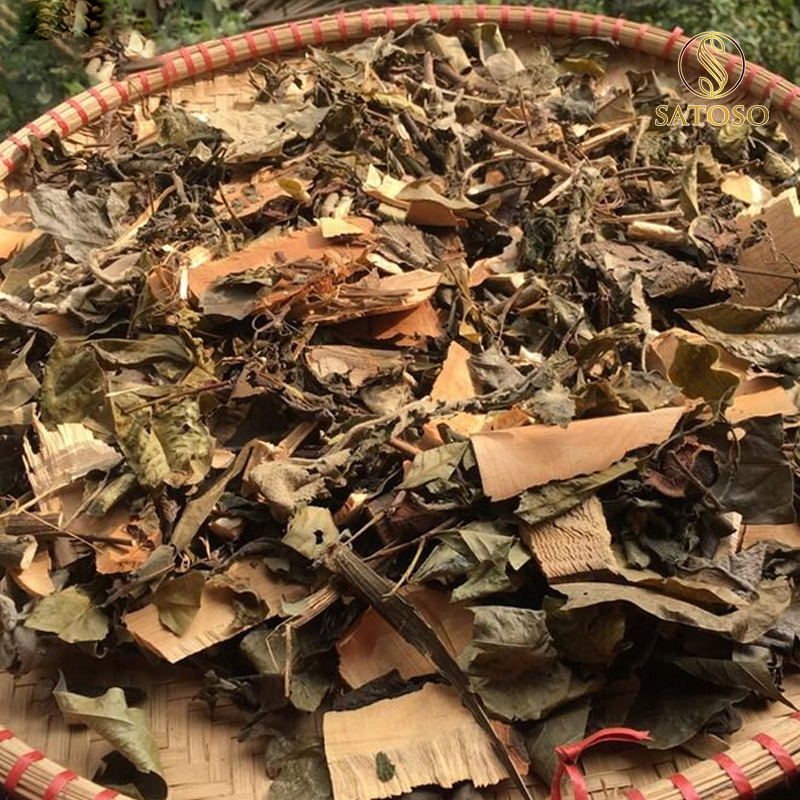 Cây lá hen khô SATOSO - Ảnh 4