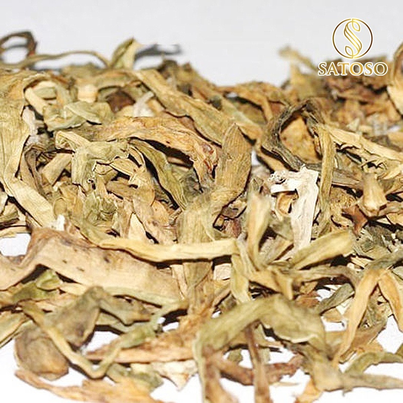 Cây náng hoa trắng khô SATOSO - Ảnh 4