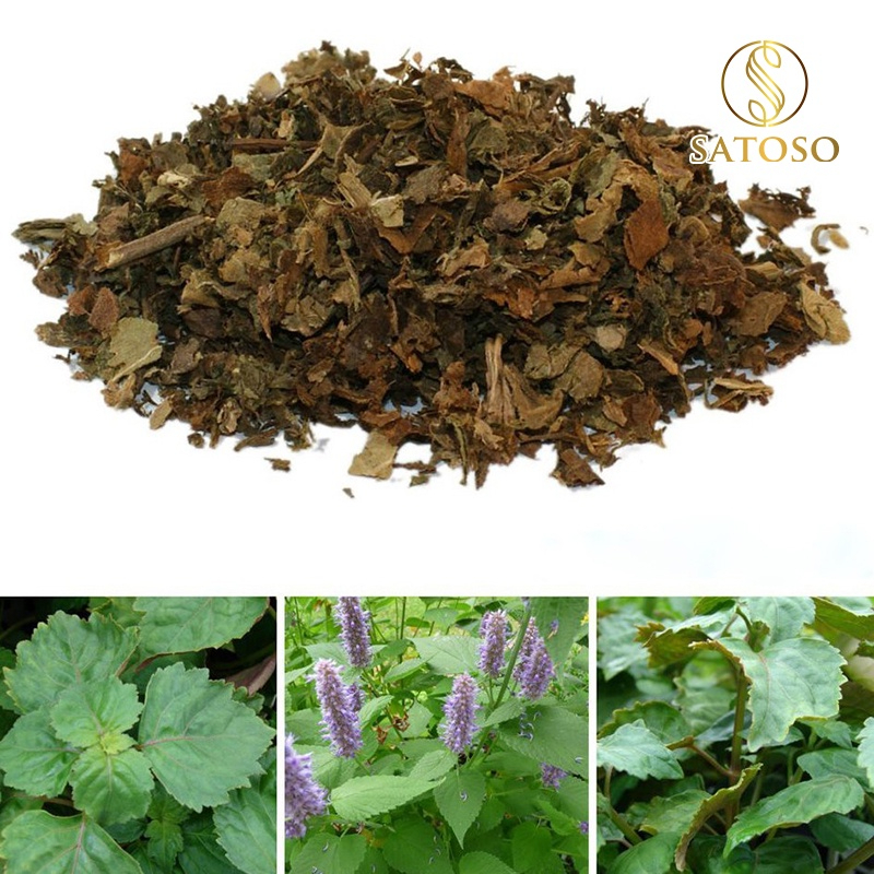 Hoắc hương khô SATOSO hàng đẹp sạch thơm tốt cho sức khỏe - Ảnh 4