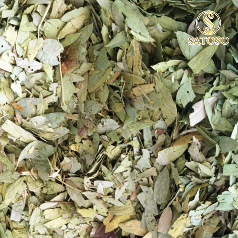 Lá Phan Tả Diệp Khô SATOSO - Ảnh 7