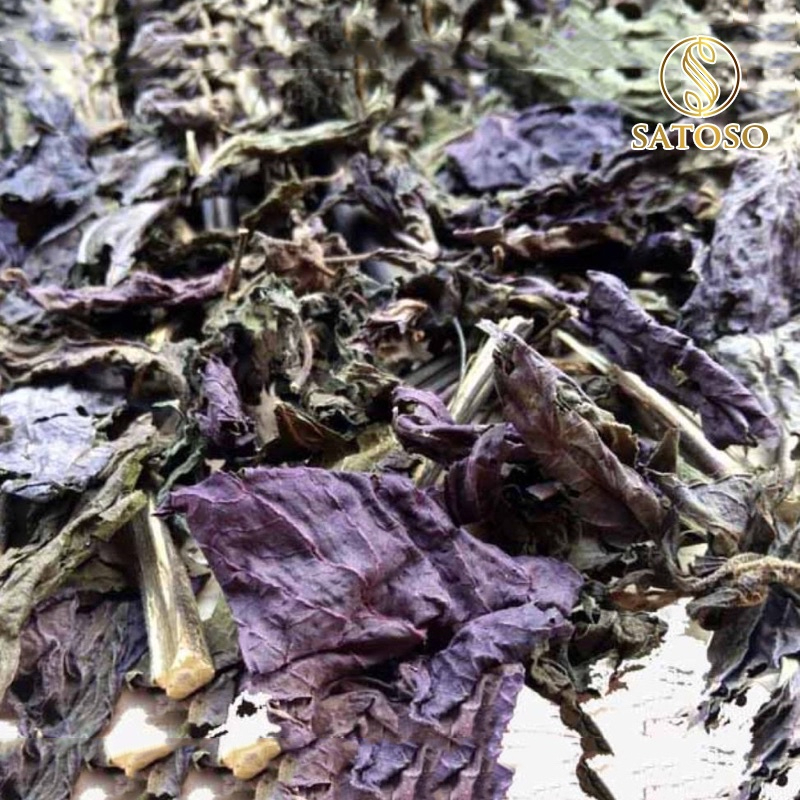 Cây Tía Tô Khô Dạng Túi Lọc Thượng Hạng SATOSO Thanh Lọc Cơ Thể, Giải Nhiệt Tự Nhiên - Ảnh 4