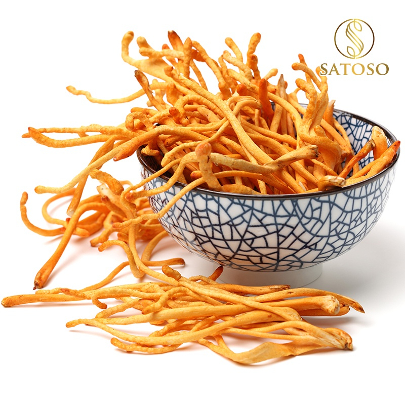 Đông Trùng Hạ Thảo Sấy Thăng Hoa SATOSO - Ảnh 4