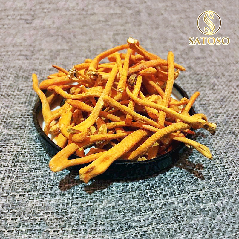 Đông trùng hạ thảo sấy thăng hoa thương hiệu SATOSO - Ảnh 4