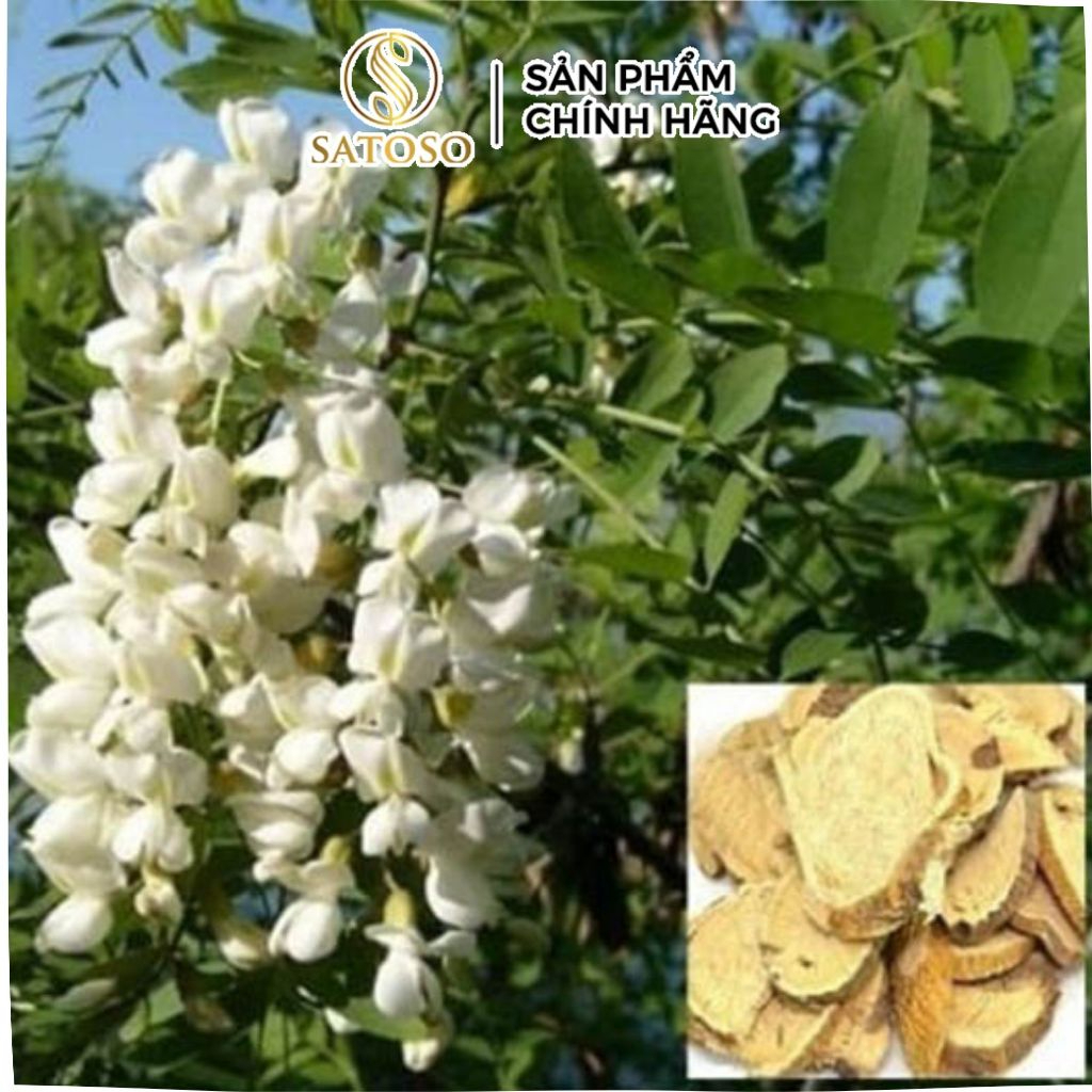 Sơn Đậu Căn Khô SATOSO Hỗ Trợ Thanh Nhiệt, Cân Bằng Cơ Thể - Ảnh 4