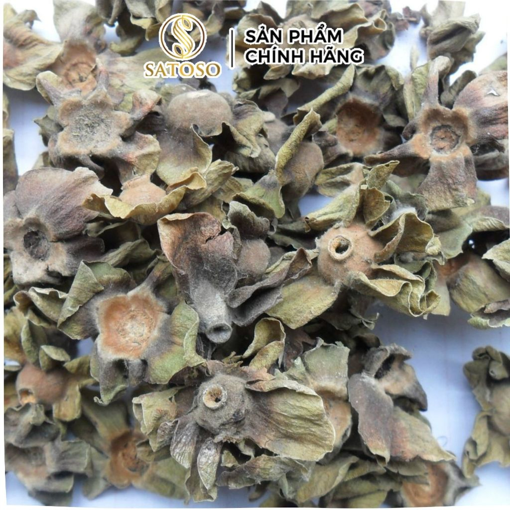 Thị Đế Khô SATOSO - Ảnh 4