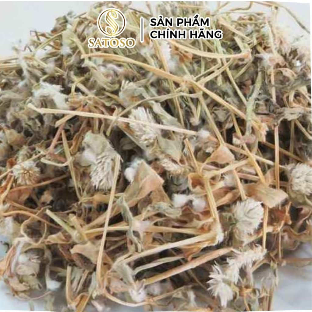Cây Nở Ngày Đất Khô SATOSO Thảo Dược Tự Nhiên Hỗ Trợ Sức Khỏe - Ảnh 4