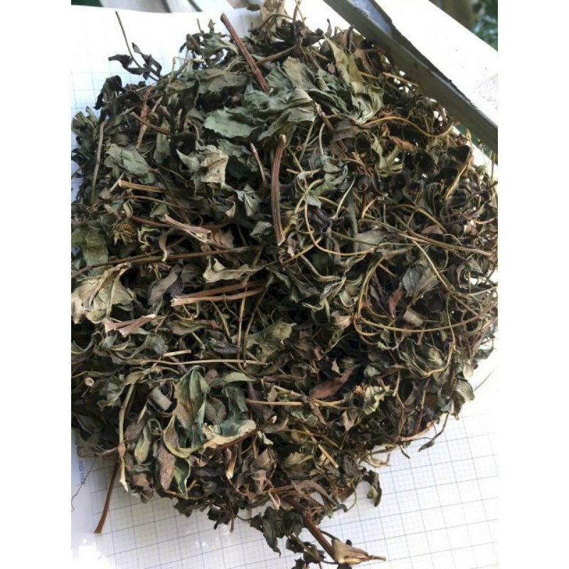 Cây Sài Đất Khô Trị Rôm Sẩy , Giúp Mát Gan Hiệu Quả Thương Hiệu SATOSO - Ảnh 4