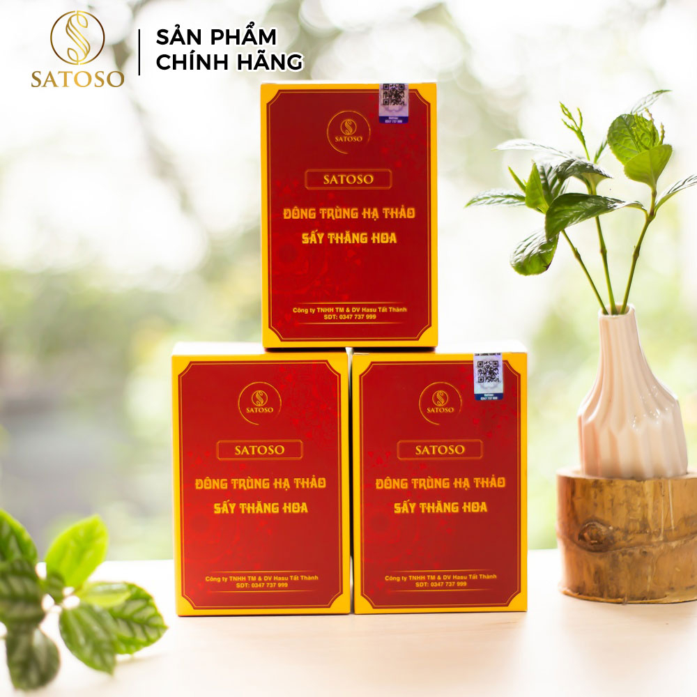 Đông Trùng Hạ Thảo Sấy Khô VIP1 SATOSO 30g Thượng Hạng, Tốt Cho Sức Khỏe, Bồi Bổ Tự Nhiên - Ảnh 4