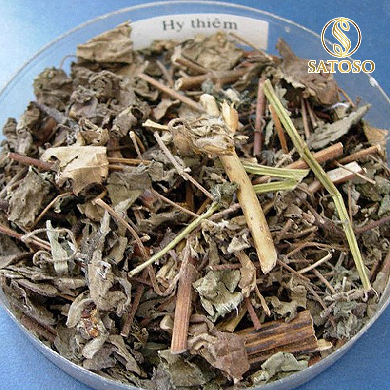Cây hy thiêm khô SATOSO - Ảnh 4
