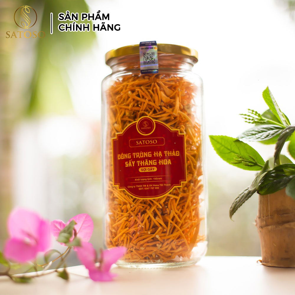 Đông trùng hạ thảo sấy khô loại sợi gãy thương hiệu SATOSO - Ảnh 4