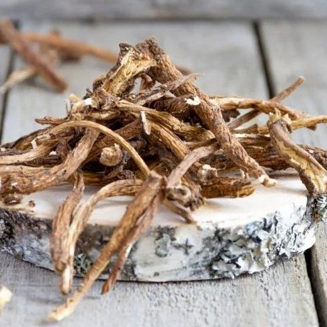 Rễ Bồ Công Anh Khô Thượng Hạng SATOSO - Ảnh 3