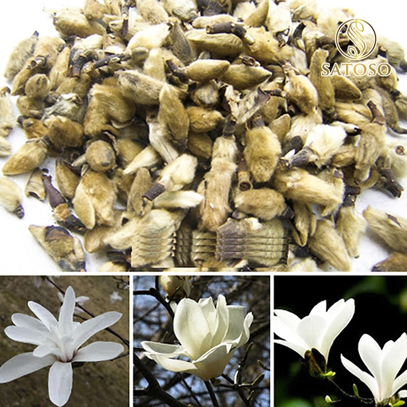 Tân di khô thượng hạng SATOSO hỗ trợ tốt cho sức khoẻ - Ảnh 5