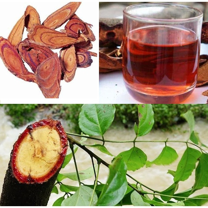 Cỏ Máu 7 Vị giúp bổ máu, lưu thông khí huyết, hỗ trợ tăng cân, dáng đẹp SATOSO - Ảnh 5