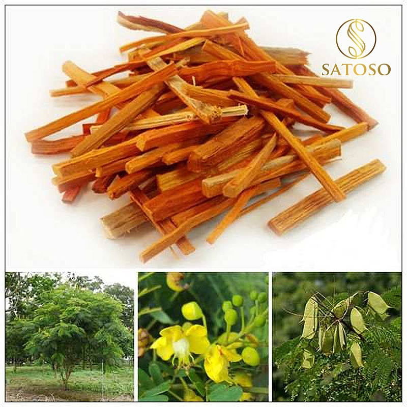 Tô mộc khô thượng hạng SATOSO - Ảnh 5