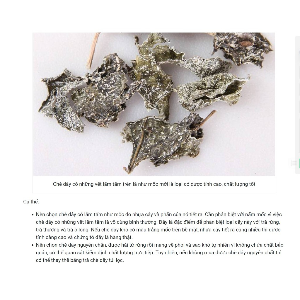 Chè dây Cao Bằng thượng hạng SATOSO - Ảnh 4