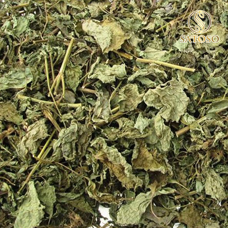 Cây Tía Tô Khô Thượng Hạng SATOSO Thanh Lọc Cơ Thể, Giải Nhiệt Tự Nhiên - Ảnh 5