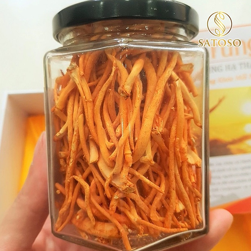 Đông trùng hạ thảo sấy thăng hoa thương hiệu SATOSO - Ảnh 5