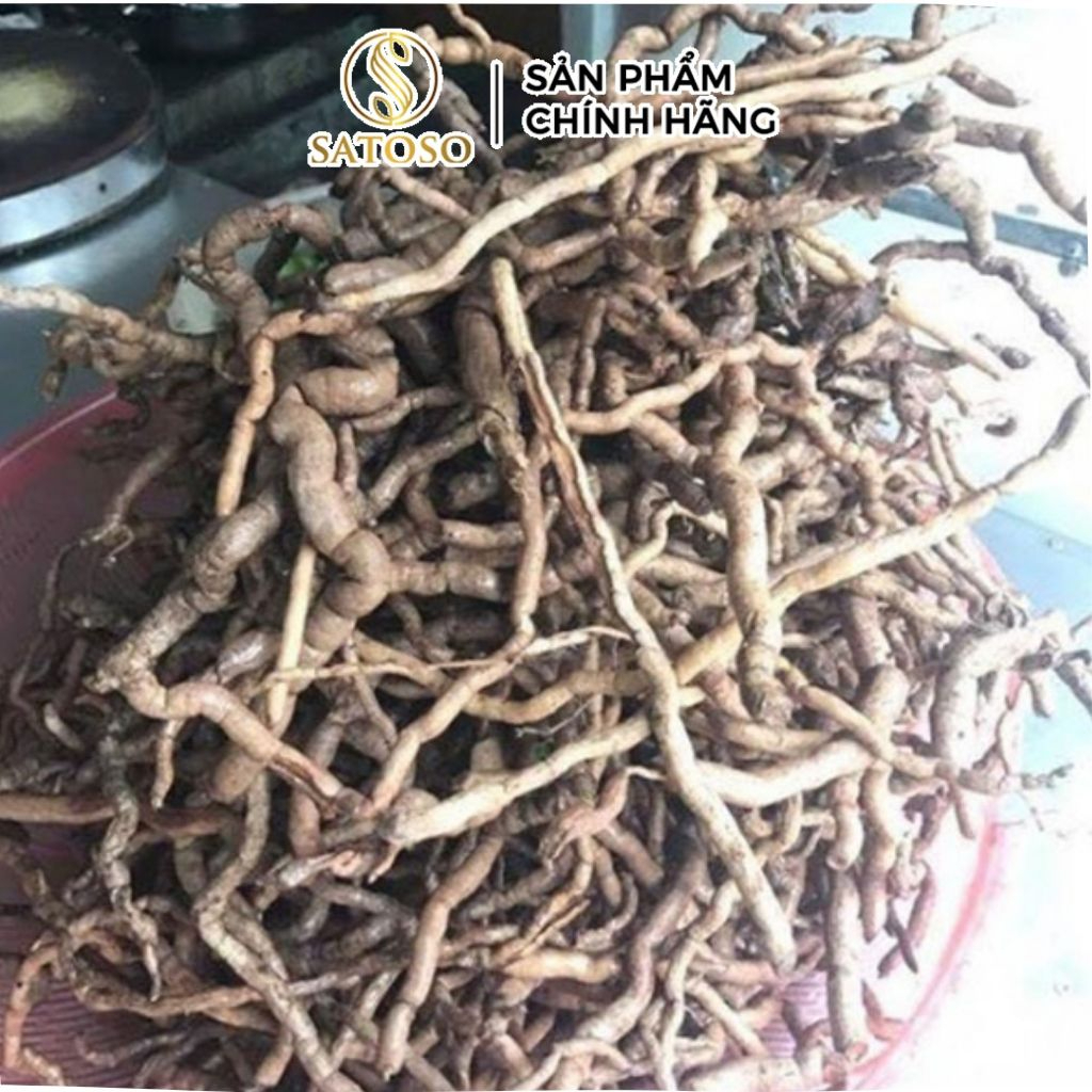 Cây Bưởi Bung Khô SATOSO - Ảnh 5