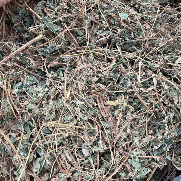 Bọ Mắm Túi Lọc SATOSO Hỗ Trợ Tiêu Hóa, Thanh Lọc Cơ Thể - Ảnh 5