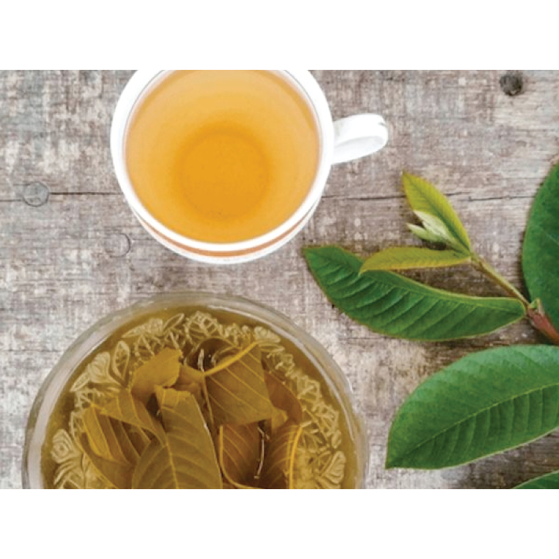 Lá ổi khô túi lọc thượng hạng SATOSO - Ảnh 2