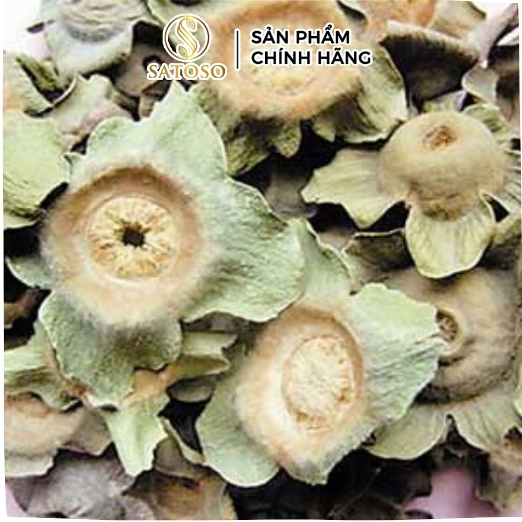 Thị Đế Khô SATOSO - Ảnh 5