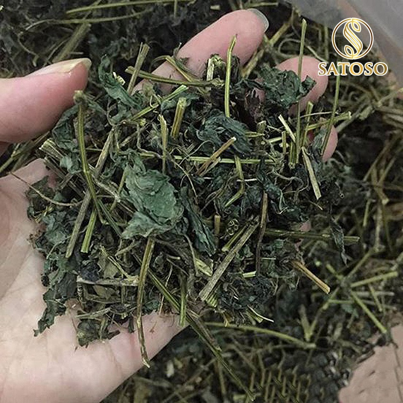 Trà Giảo Cổ Lam Túi Lọc Thương Hiệu Satoso - Ảnh 5