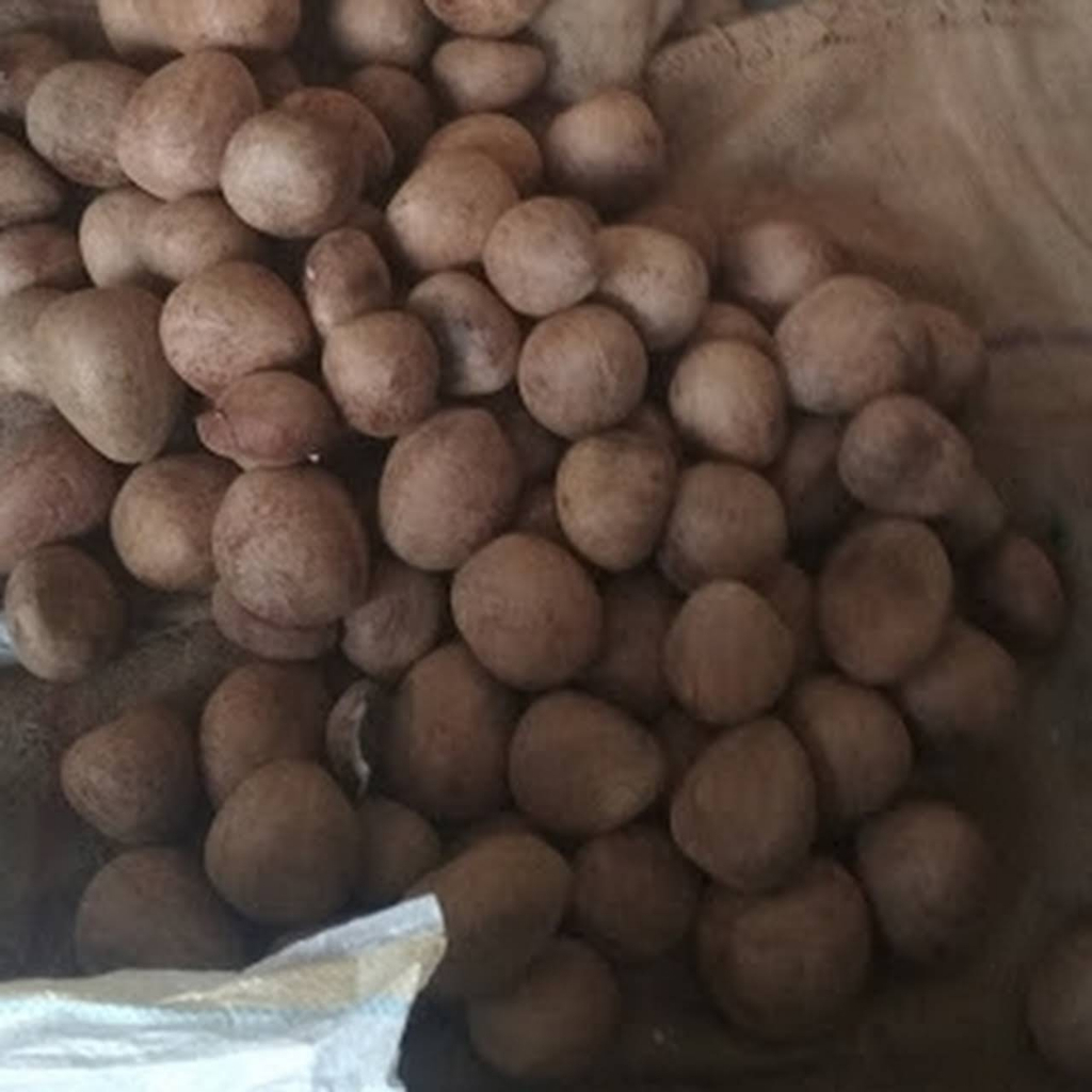 Quả La Hán Sấy Khô SATOSO - Ảnh 5