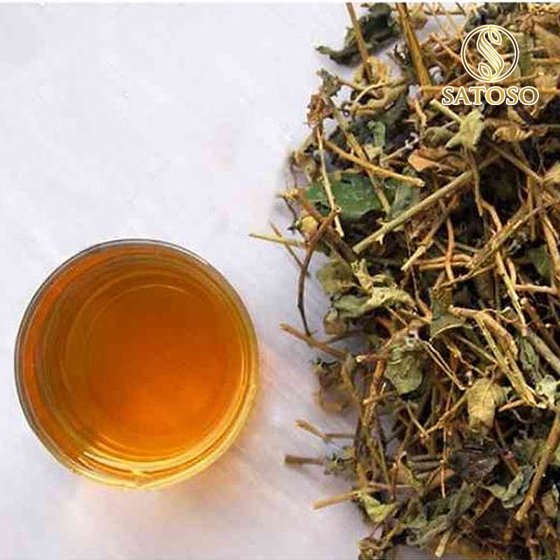 Cây hy thiêm khô SATOSO - Ảnh 5