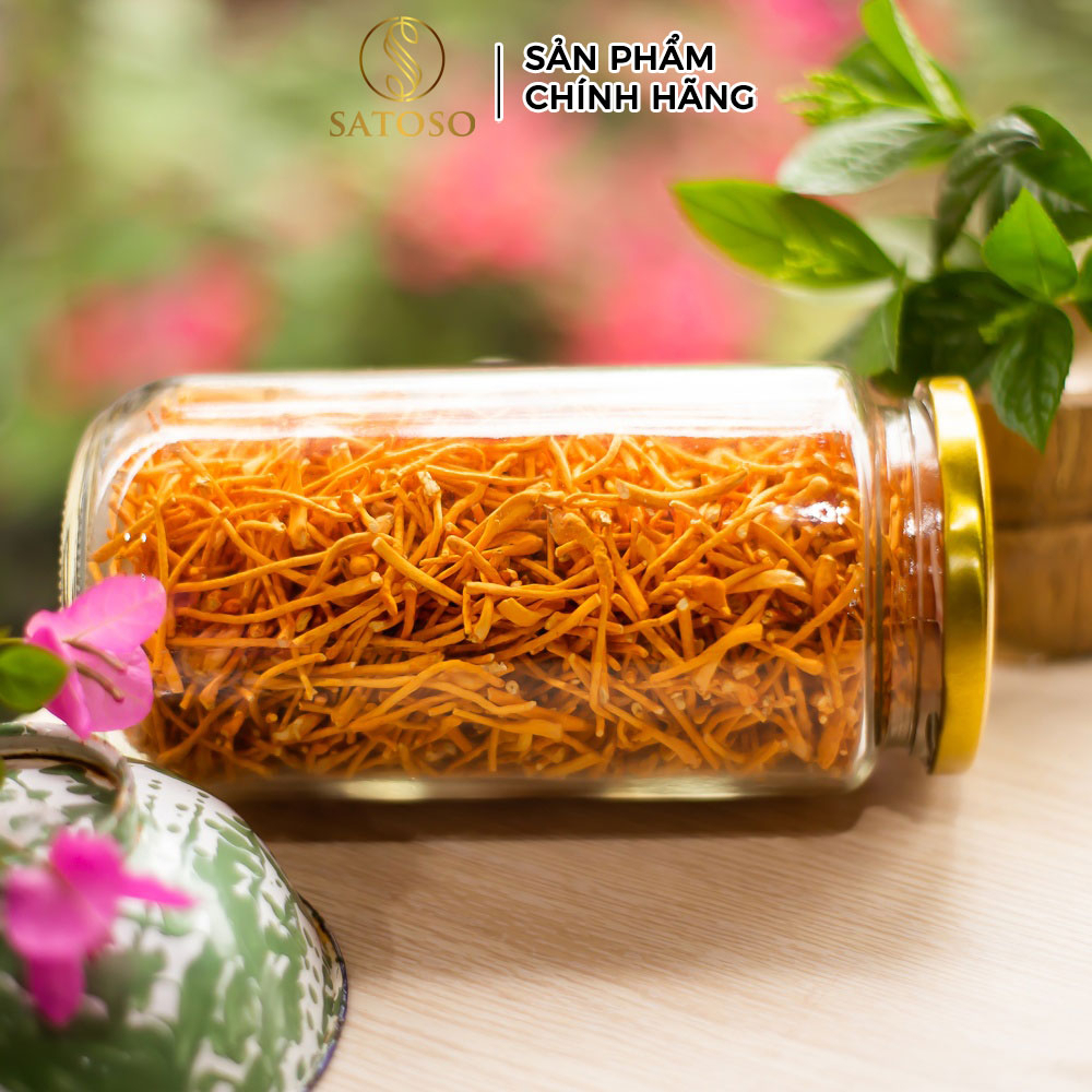 Đông trùng hạ thảo sấy khô loại sợi gãy thương hiệu SATOSO - Ảnh 5