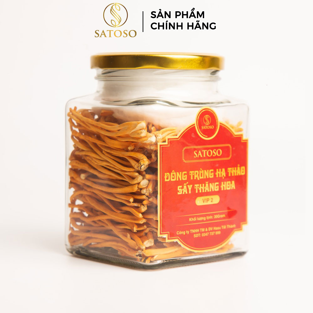 Đông Trùng Hạ Thảo Sấy Khô SATOSO VIP 2 Dưỡng Chất Quý Cho Sức Khỏe Toàn Diện - Ảnh 5