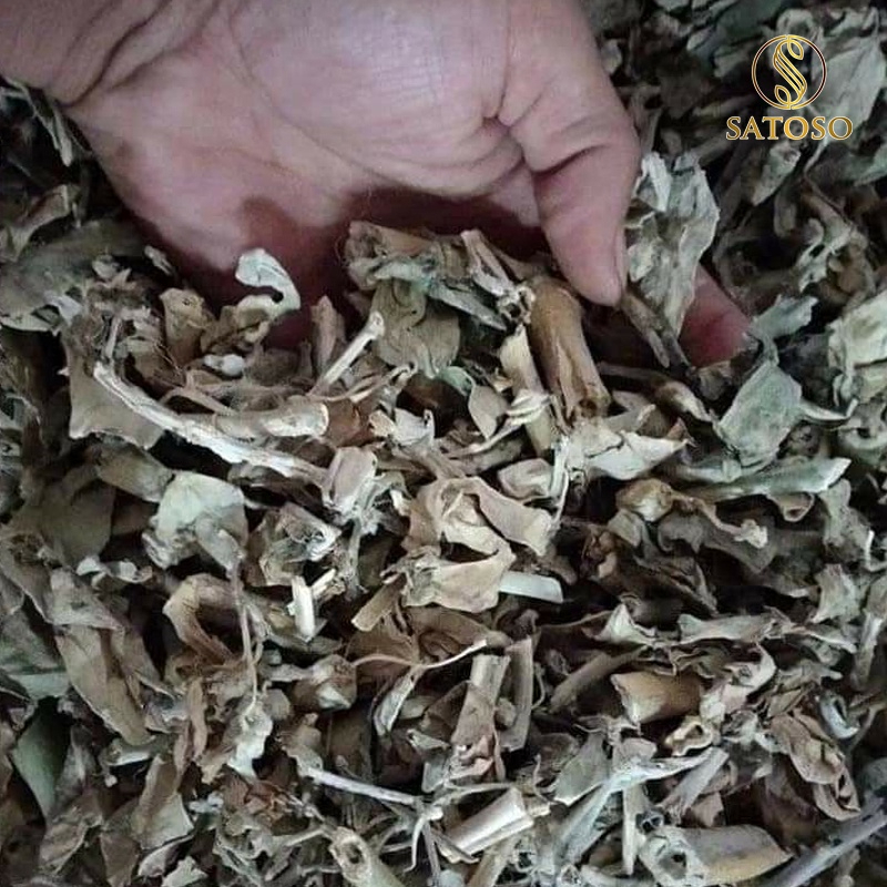 Cây lá hen khô SATOSO - Ảnh 5