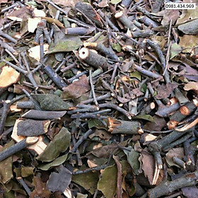 Tầm gửi gạo SATOSO hỗ trợ tốt cho sức khoẻ