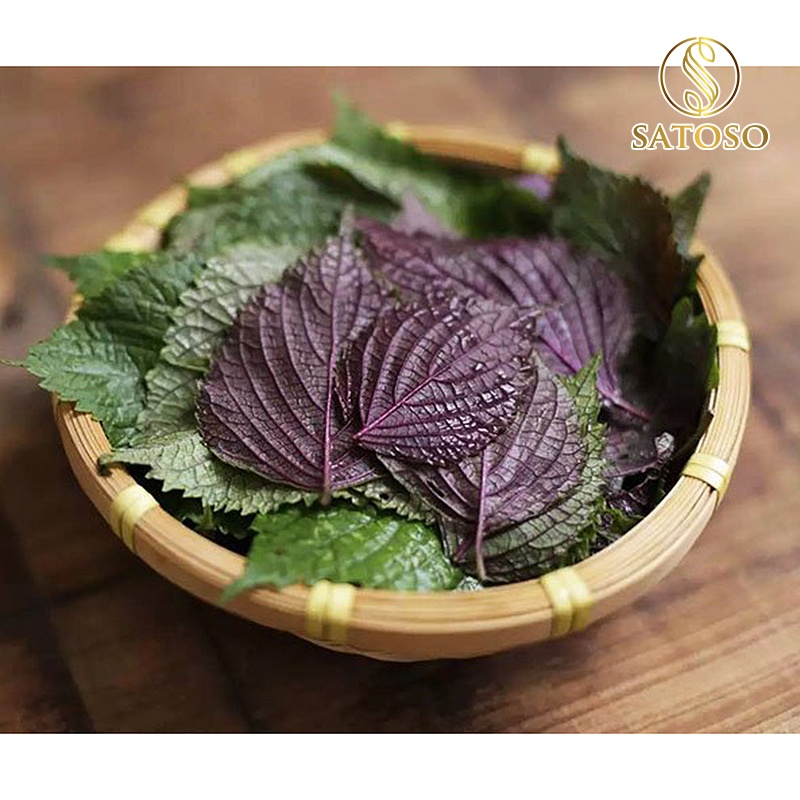 Cây Tía Tô Khô Thượng Hạng SATOSO Thanh Lọc Cơ Thể, Giải Nhiệt Tự Nhiên - Ảnh 6