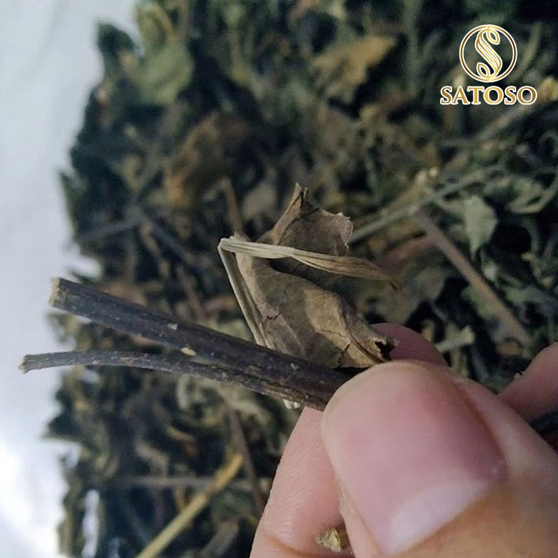 Cây Nổ Khô SATOSO - Ảnh 6