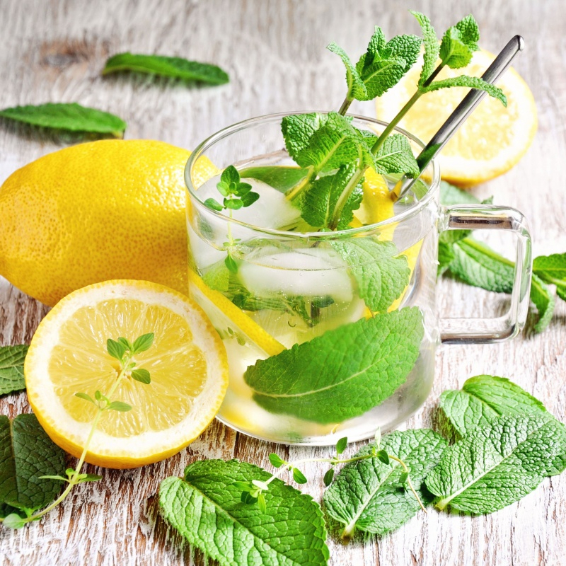 Cây bạc hà khô SATOSO - Ảnh 2