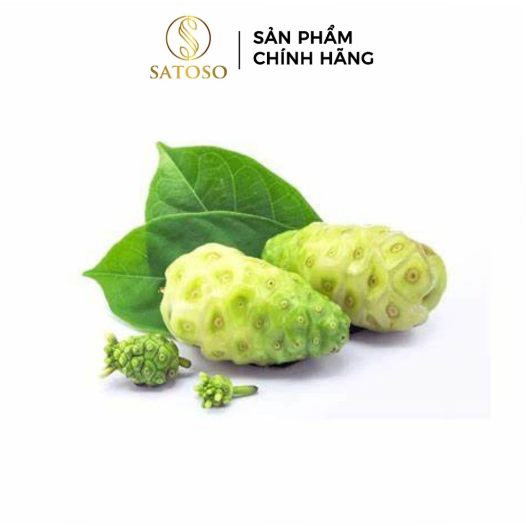 Trái Nhàu Khô SATOSO Hỗ Trợ Sức Khỏe, Tăng Cường Đề Kháng - Ảnh 6