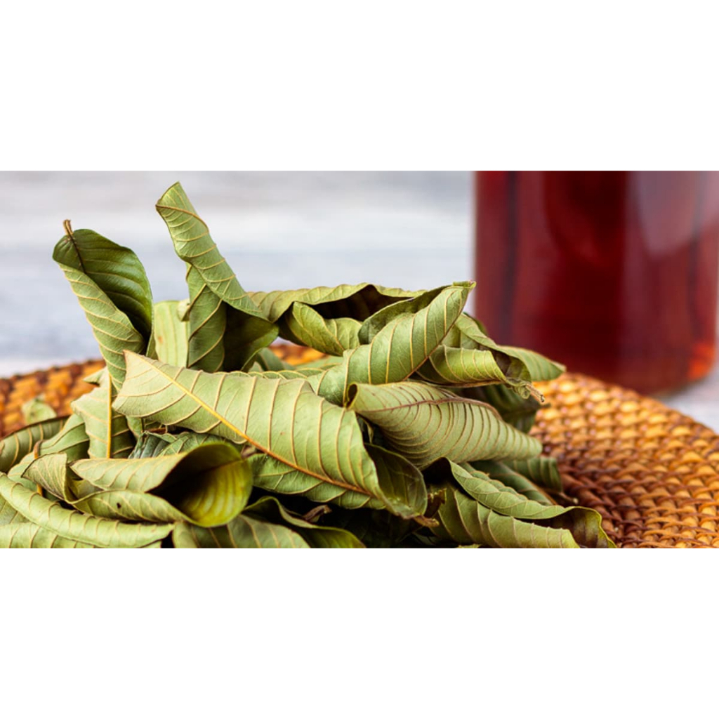 Lá ổi khô thượng hạng SATOSO - Ảnh 6