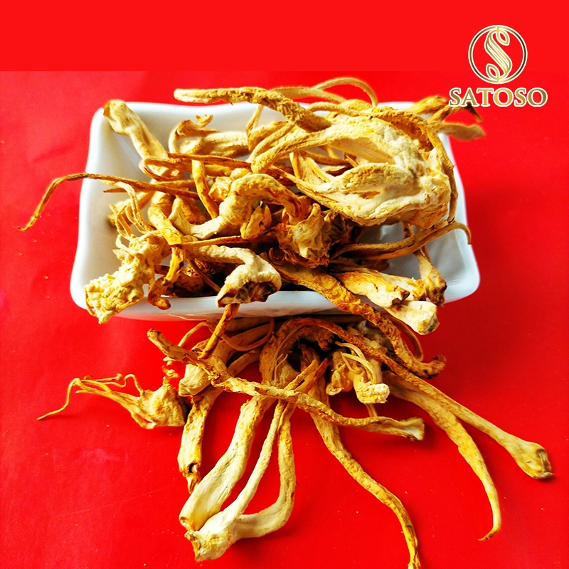 Đông Trùng Hạ Thảo Sấy Nhiệt Thượng Hạng SATOSO - Ảnh 6