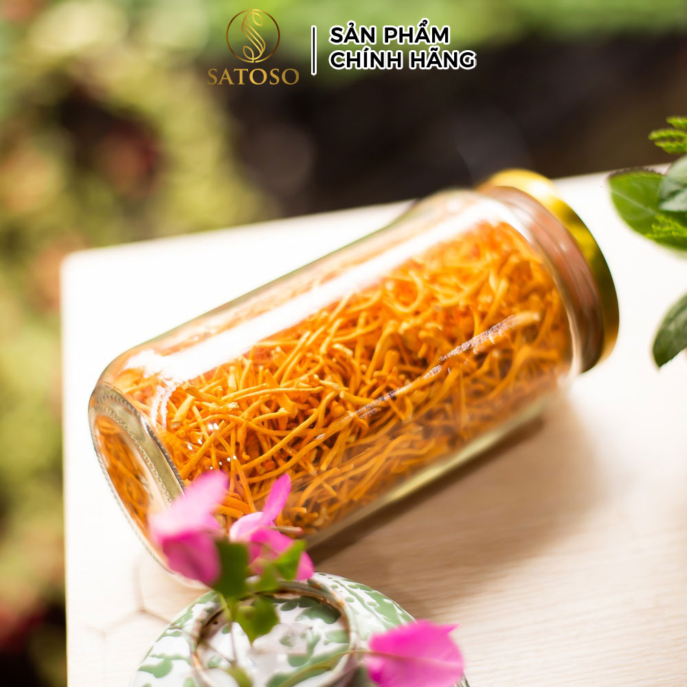 Đông trùng hạ thảo sấy khô loại sợi gãy thương hiệu SATOSO - Ảnh 6