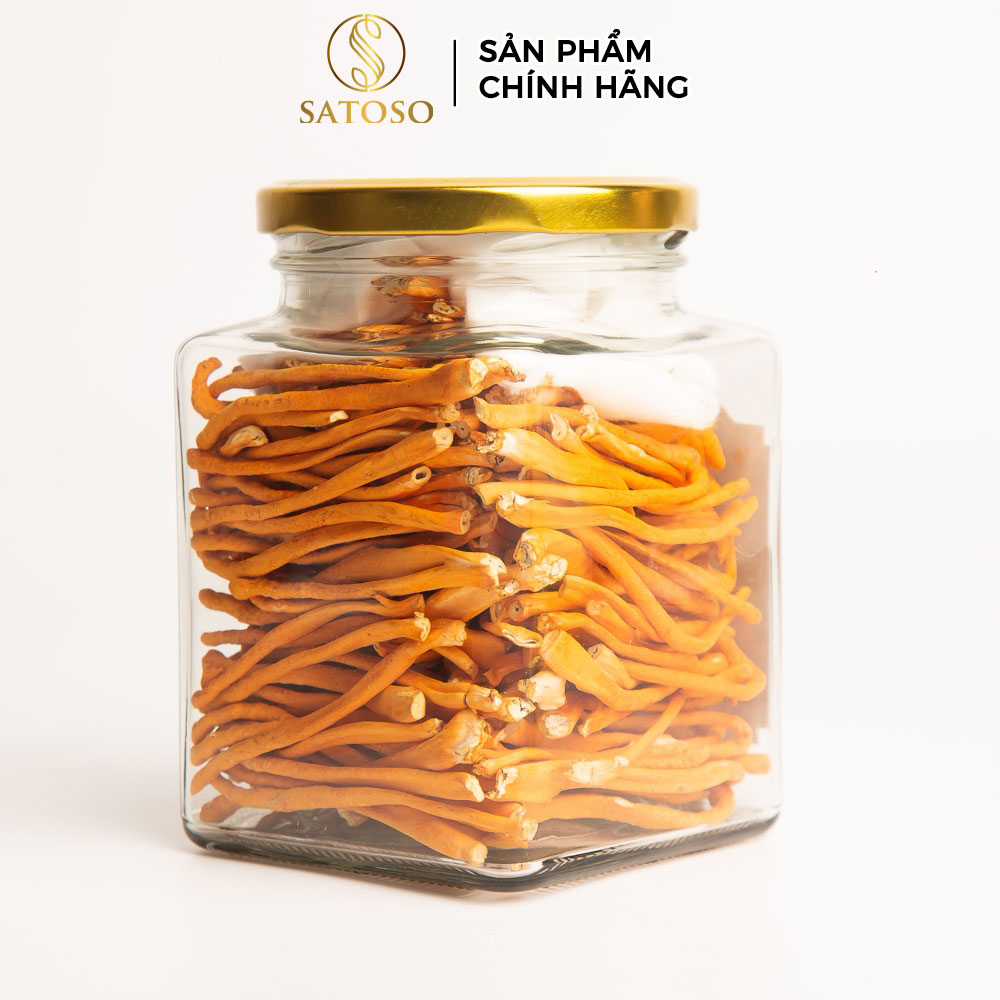 Đông Trùng Hạ Thảo Sấy Khô VIP1 SATOSO 30g Thượng Hạng, Tốt Cho Sức Khỏe, Bồi Bổ Tự Nhiên - Ảnh 7