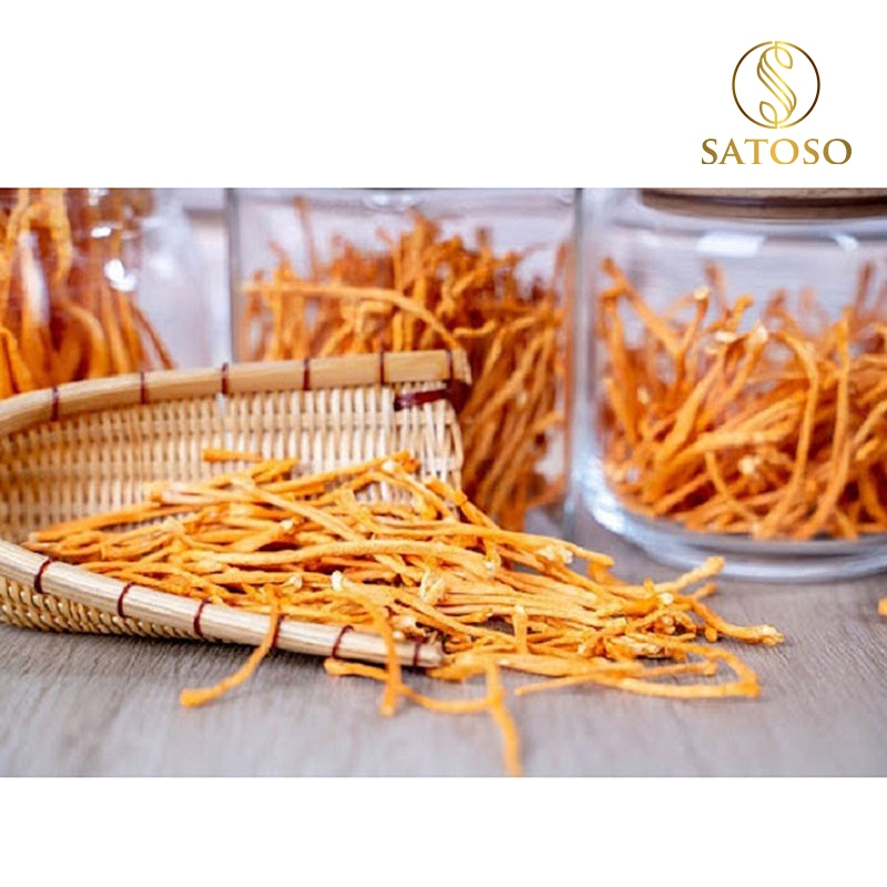 Đông Trùng Hạ Thảo Sấy Nhiệt Thượng Hạng SATOSO - Ảnh 7