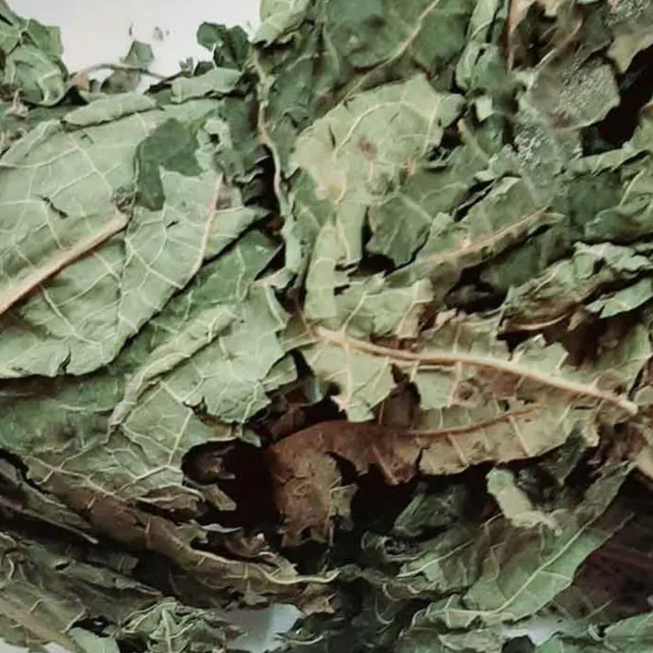 Lá đu đủ đực khô nguyên chất SATOSO - Ảnh 4