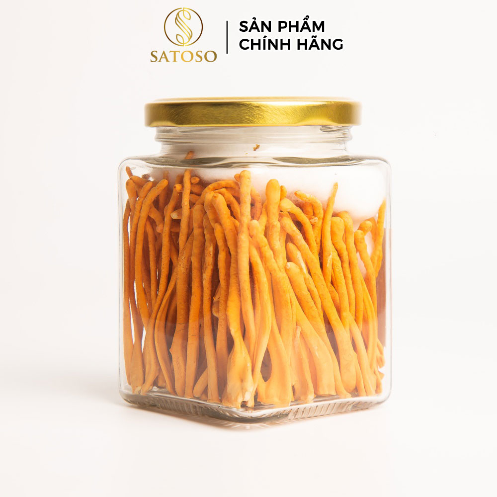 Đông Trùng Hạ Thảo Sấy Khô SATOSO VIP 2 Dưỡng Chất Quý Cho Sức Khỏe Toàn Diện - Ảnh 7