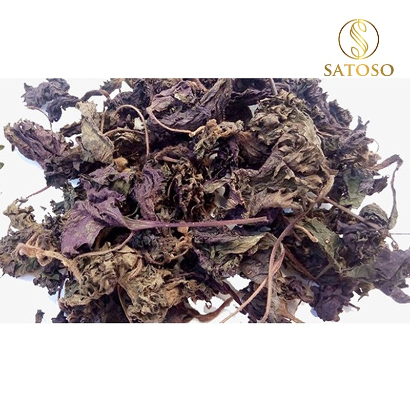 Cây Tía Tô Khô Thượng Hạng SATOSO Thanh Lọc Cơ Thể, Giải Nhiệt Tự Nhiên - Ảnh 7