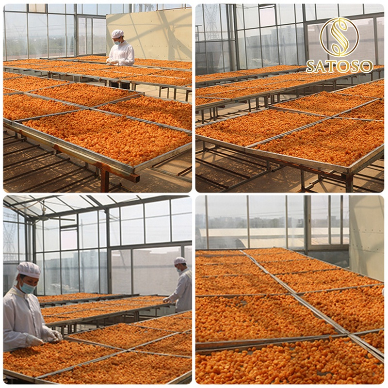 Long nhãn SATOSO khô thượng hạng - Ảnh 8