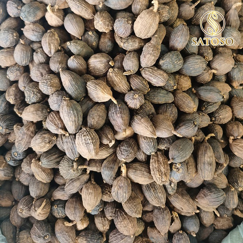 Thảo quả khô thượng hạng SATOSO - Ảnh 4