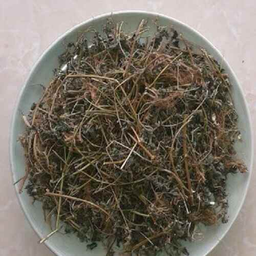 Bọ Mắm Túi Lọc SATOSO Hỗ Trợ Tiêu Hóa, Thanh Lọc Cơ Thể - Ảnh 8