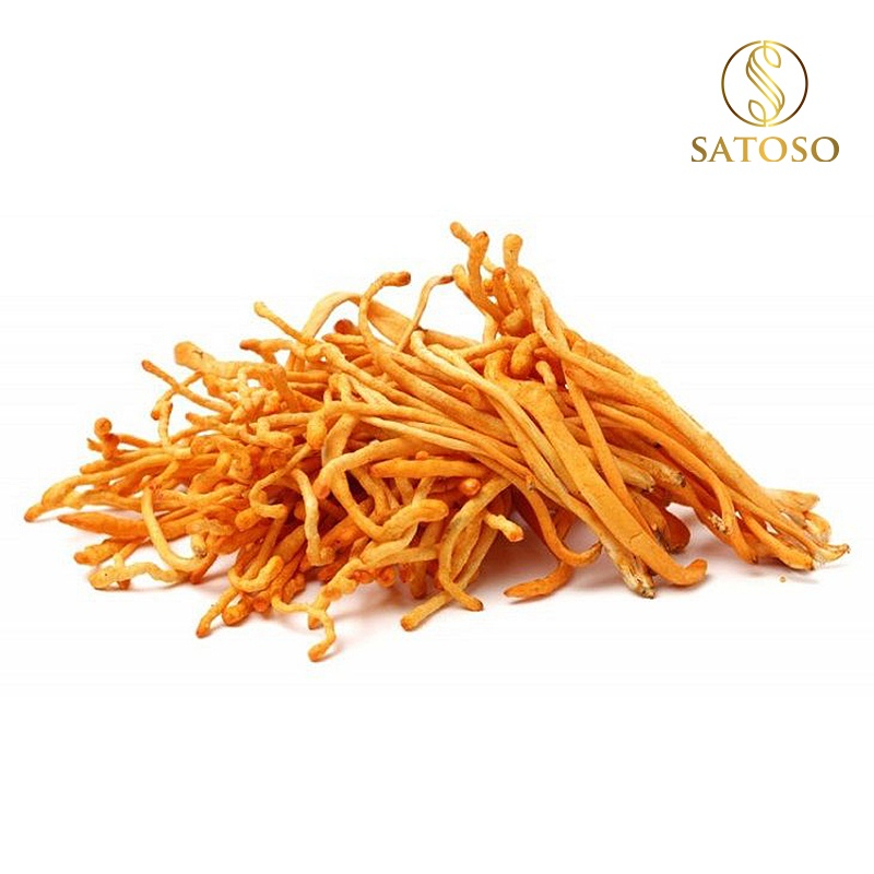 Đông trùng hạ thảo sấy thăng hoa thương hiệu SATOSO - Ảnh 8