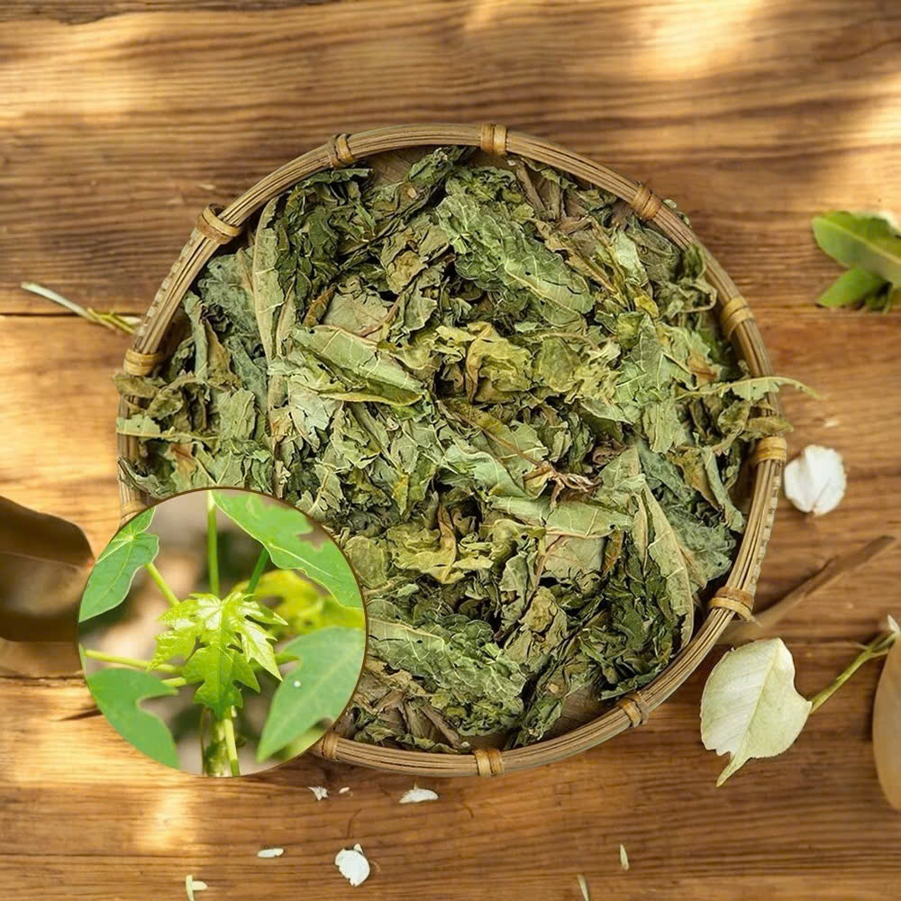 Lá đu đủ đực khô nguyên chất SATOSO - Ảnh 6