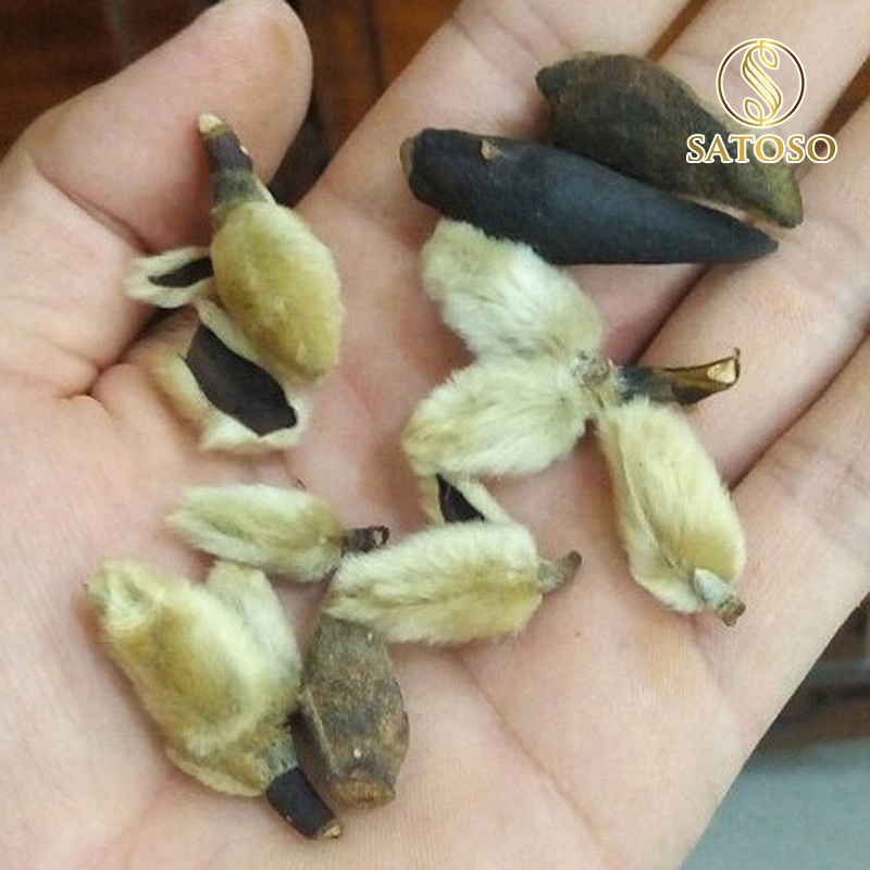 Tân di khô thượng hạng SATOSO hỗ trợ tốt cho sức khoẻ - Ảnh 9